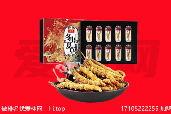 黄石铁山区回收虫草.jpg